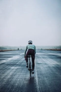 THERMAL RAIN RADHOSE LANG DARK BERRY -Biehler 0514020 THRDBY THERMAL RAIN BIB TIGHTS DARK BERRY 12632ad892b43cd 1280x1280