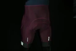 THERMAL RAIN RADHOSE DARK BERRY -Biehler 0518120THRDBY bibs detail2 1280x1280