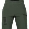 DAMEN DISTANCE SHORTS PINE