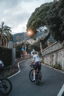 DAMEN SYNDICATE RADHOSE GRAPE -Biehler DSC02588 1280x1280