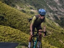 SIGNATURE³ WESTE PINE TREE -Biehler men sig avo ss live16037971f3118a 1280x1280