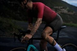 SIGNATURE³ RADHOSE PINE TREE -Biehler men sig cardinal ss live26037776ece26f 1280x1280