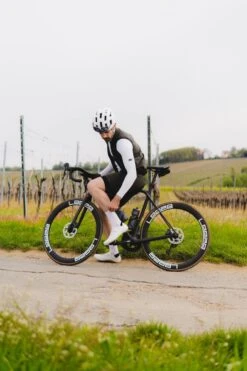 SIGNATURE³ WESTE PINE TREE -Biehler web Kopie von DSC04865 IG 1280x1280