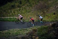 DAMEN SUPREME RADTRIKOT LIGHT GREY -Biehler women sup lg ss live1 1280x1280